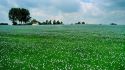 Patrimoine religieux en Hesbaye brabançonne