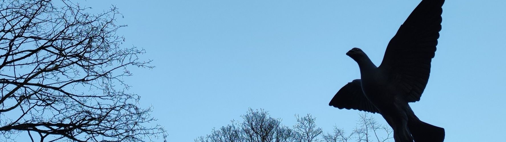 Geslenter... De neus in de lucht