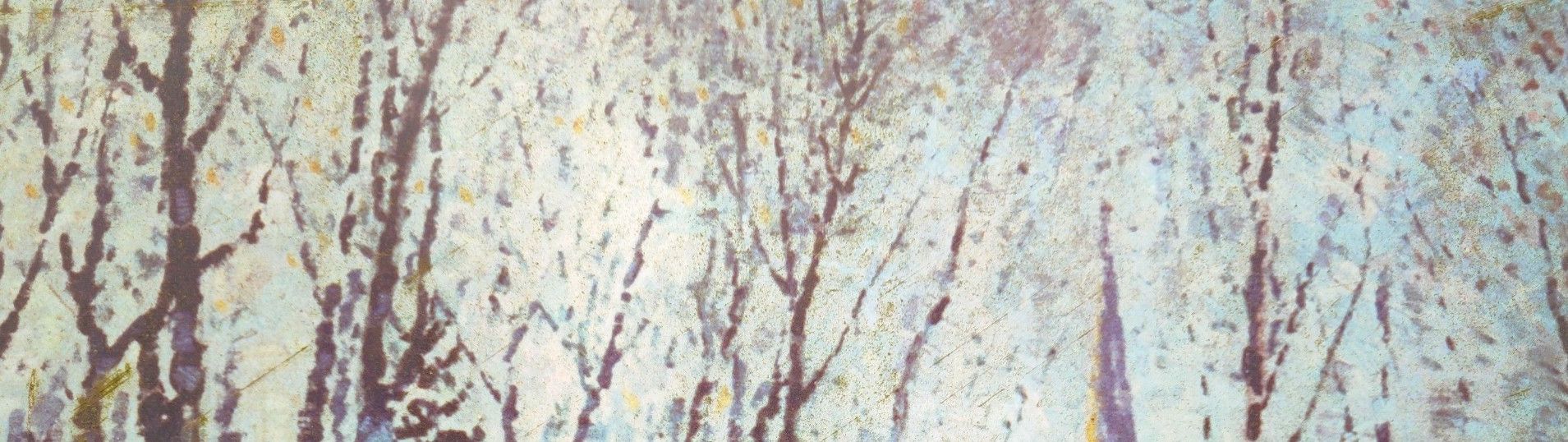 Itinérêve 2 - Au fil des saisons avec le "Solitaire de Gerpinnes"