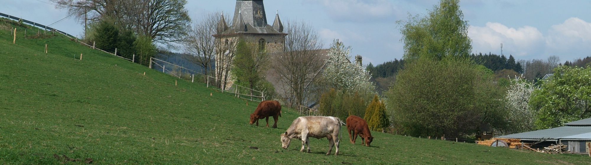 Saint-André