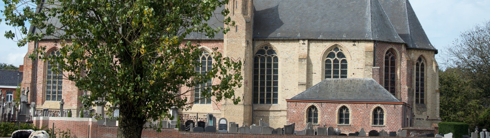 Saint-Vaast
