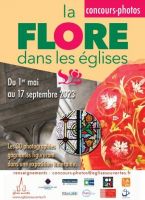 Concours-photo : la flore dans les églises